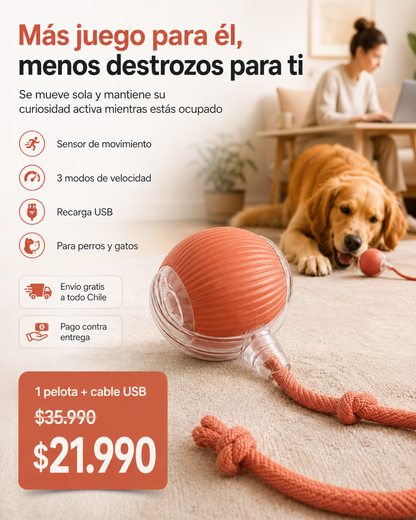 PetRoll™: Pelota inteligente con cuerda