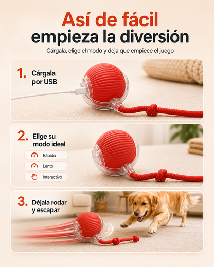 PetRoll™: Pelota inteligente con cuerda